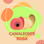 Camaleonte Rosa