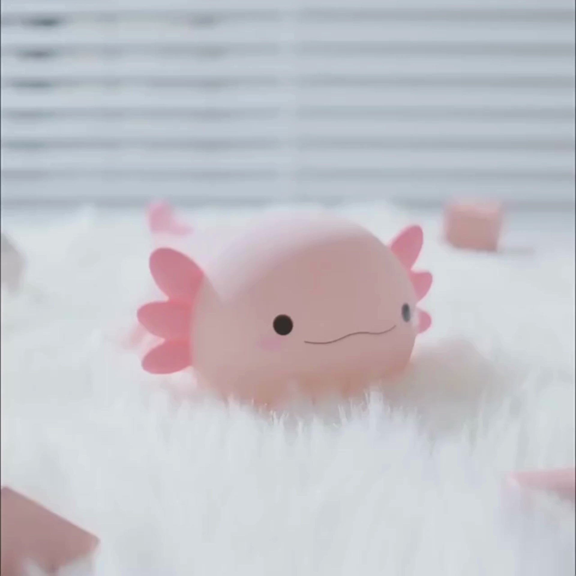 Axolotl